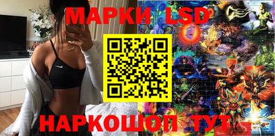 гидра Заволжье