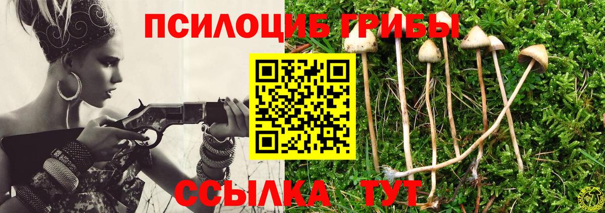 Псилоцибиновые грибы Psilocybe Назарово