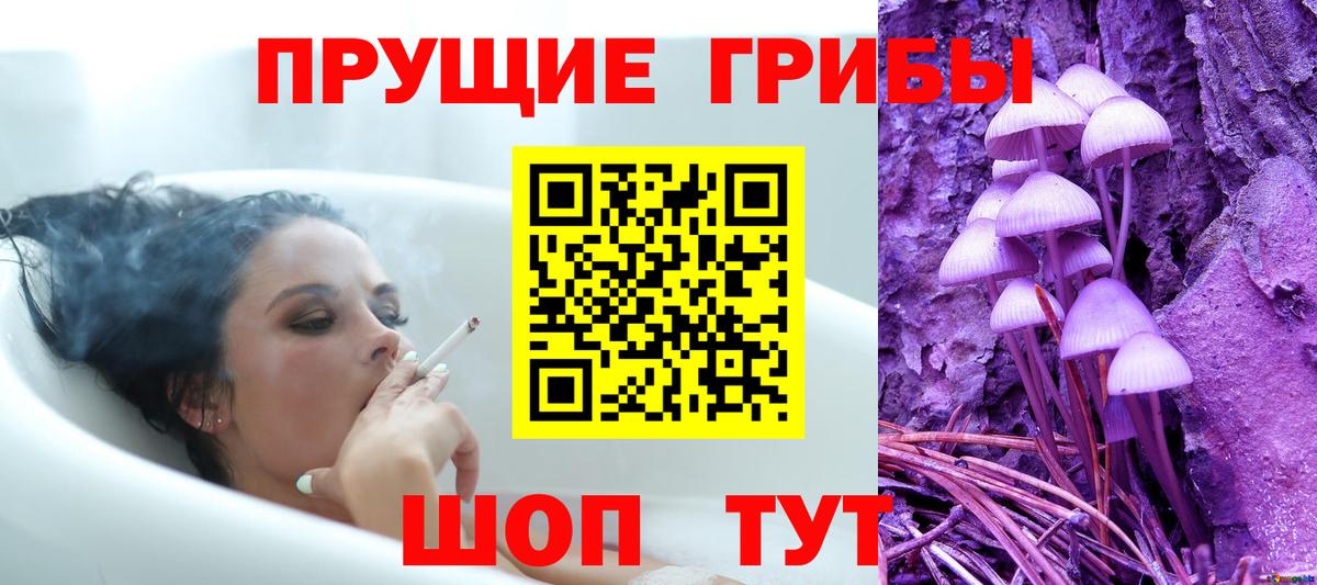 Псилоцибиновые грибы прущие грибы  Вход с VPN  Назарово 